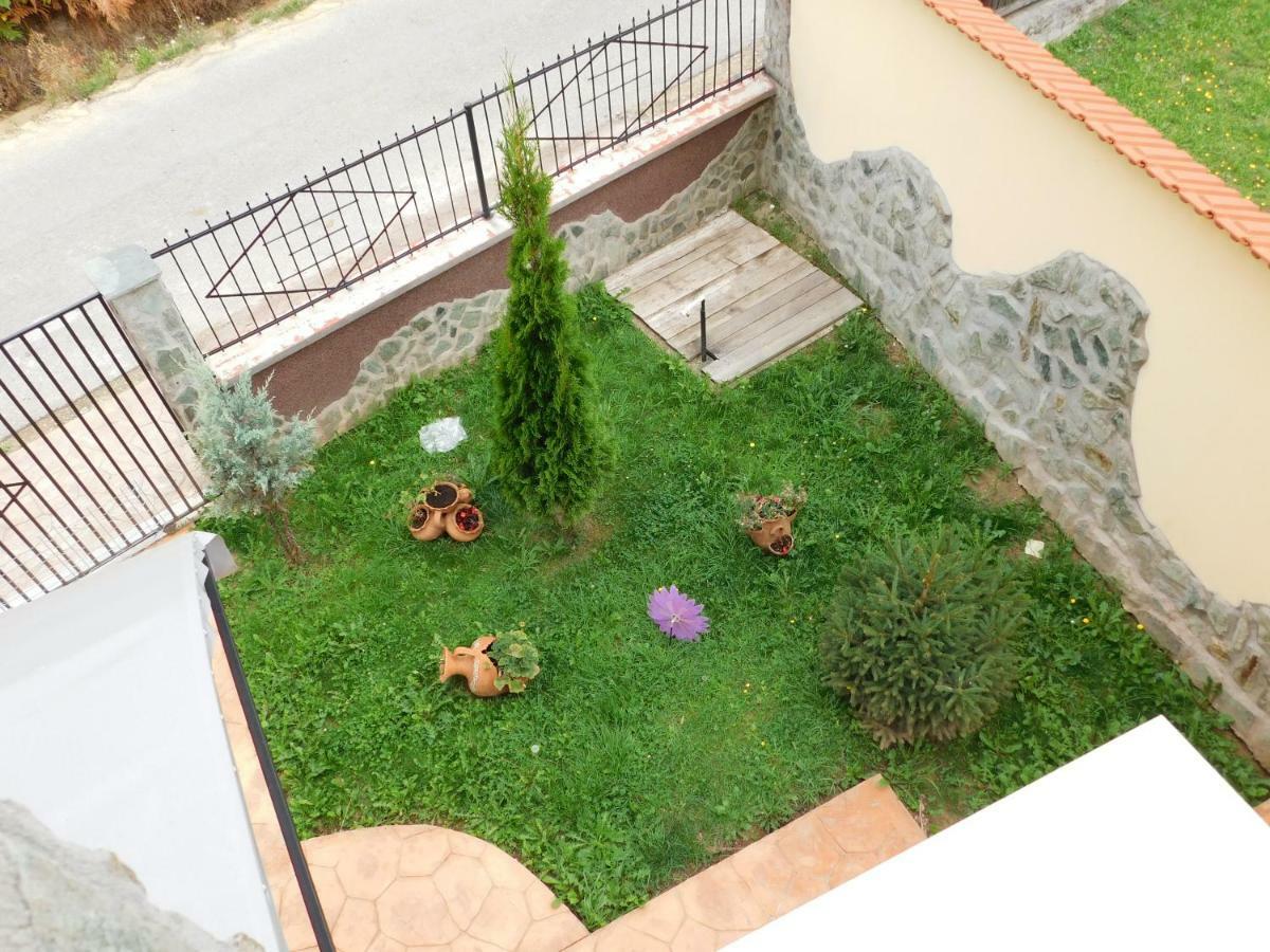 Pensiunea Casa Domnitei Baia de Fier Luaran gambar