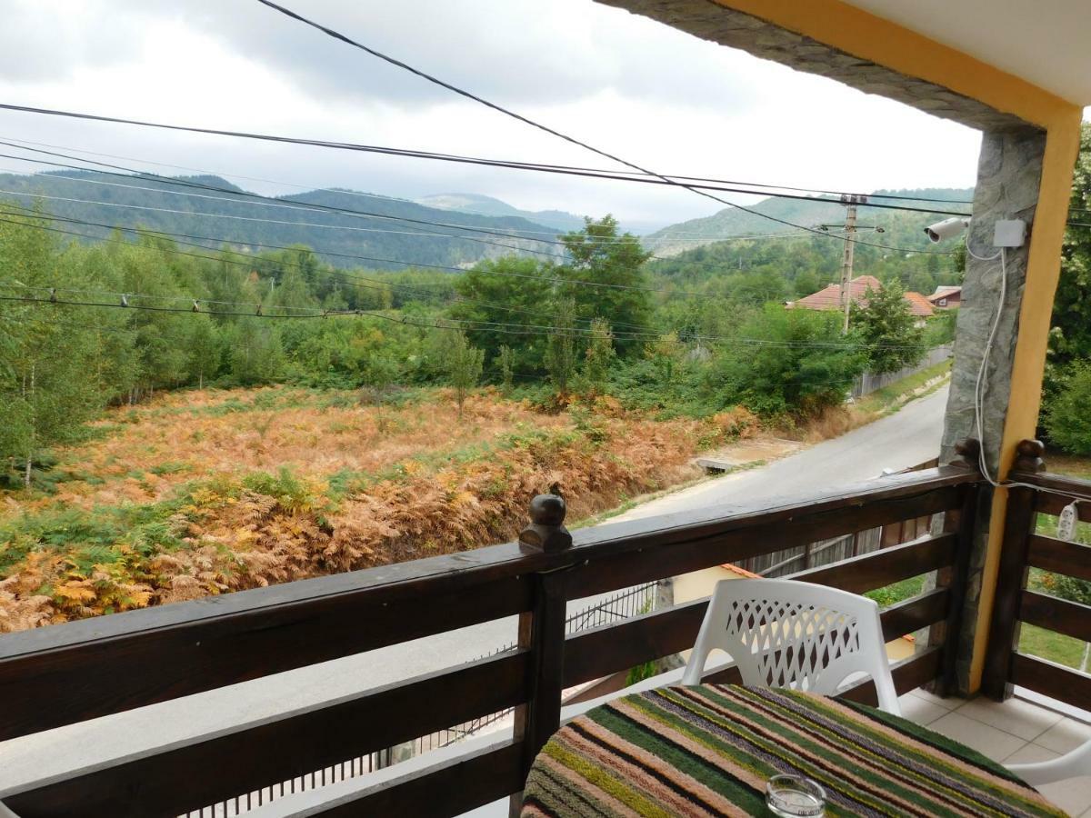 Pensiunea Casa Domnitei Baia de Fier Luaran gambar