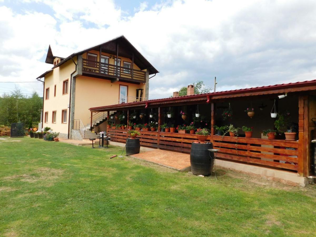 Pensiunea Casa Domnitei Baia de Fier Luaran gambar